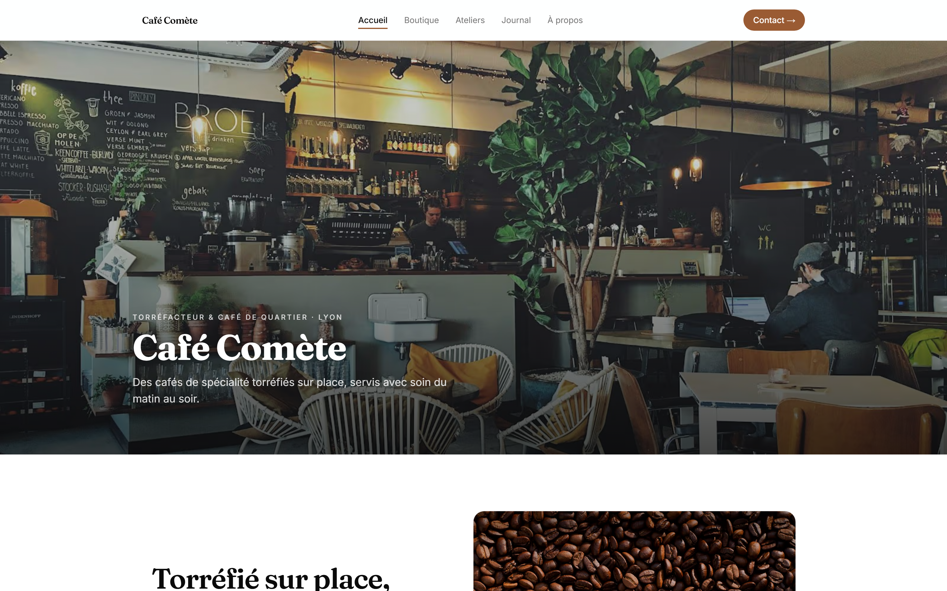 Le site publié, tel que le voient vos visiteurs.